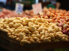 В Краснодарском крае нет дефицита продуктов из-за политической обстановки