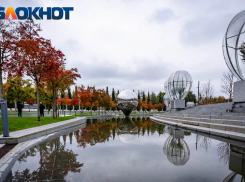 «Пластиковая лаванда вообще убила»: туристка разочаровалась в парке Галицкого 