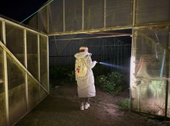 На Кубани третий день ищут пропавшую 11-летнюю школьницу