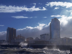  «Внимание: ожидается ураган», - жителей Новороссийска попросили не выходить на улицу 