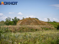 На Кубани увеличилось количество пострадавших от укусов клещей