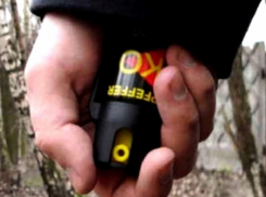 Кубанский школьник брызнул из перцового баллончика пенсионерке в глаза 