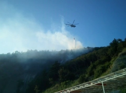 В два раза уменьшилось число лесных пожаров на Кубани 