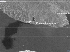 Разлив нефти в порту Новороссийска оказался в 400 тысяч раз больше заявленного