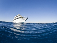 На Кубани организовали проверку по факту пропажи ученой-дайвера