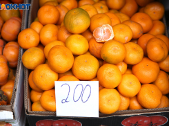 Тонны отравленных вредителем мандаринов пытались провезти на Кубань