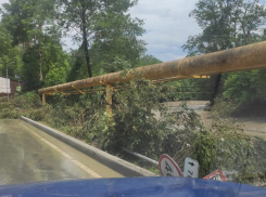 Краснодарец показал потоп и разрушения в Сочи: видео и фото