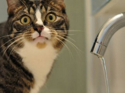 Краснодар ждет семичасовое обезвоживание