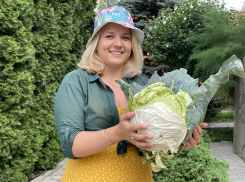 «Трамп», «Барака», «Авак»: капустное трио для вашего витаминного огорода