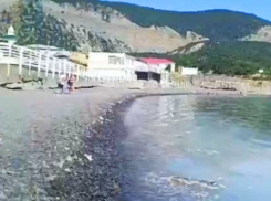 На курортах Краснодарского края заметили нашествие медуз в начале курортного сезона