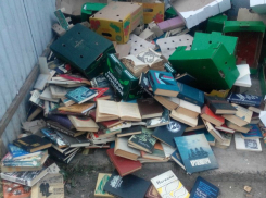 «Не модно уже»: в Краснодаре возле школы на помойку выбросили сотню книг