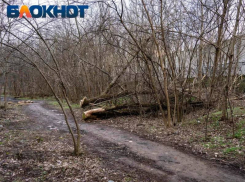 О начале пожароопасного периода предупредили жителей Кубани