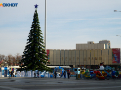 Пьяную девушку за попытку сфотографироваться с главной елкой Краснодара задержала полиция 