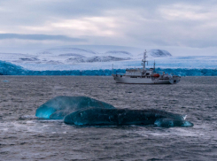 В Краснодаре состоялся премьерный показ документального фильма «В Арктику»
