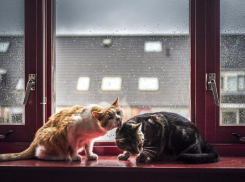 Дождливая погода вернется на Кубань 