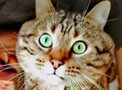 До +16 градусов потеплеет на Кубани 