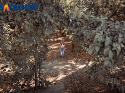 В понедельник в Краснодаре порывы ветра достигнут 14 метров в секунду
