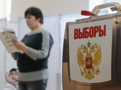 Справороссы обвинили кандидата от «Единой России» Боеву в подкупе избирателей