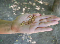 В Краснодаре двое молодых людей помогли за пару минут поймать казанову-грабителя из Дагестана