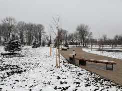 На благоустройство более 200 парков и скверов на Кубани потратят 1,8 млрд рублей 