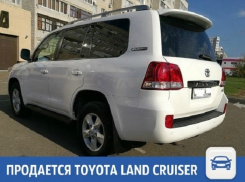 6-летний Land Cruiser ищет нового хозяина в Краснодаре