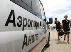 Авиадебошира задержали в Анапе за драку с женой на борту самолета