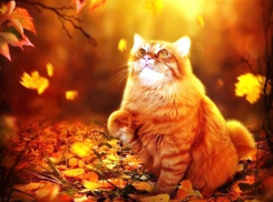 В Краснодарском крае воздух прогреется до 20 градусов тепла