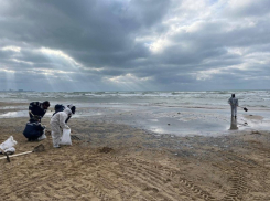 Что происходит на местах разлива мазута в Краснодарском крае спустя 17 дней после трагедии