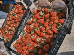 Из-за высокой температуры в Краснодаре открылись лишь шесть ярмарок выходного дня