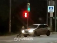 Краснодарка бросилась на дорогу останавливать машины: видео