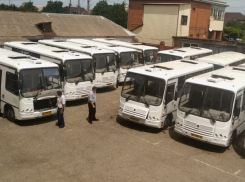  Депутатов совета Ейского района обвинили в порче автобусов и попытались не пустить на их осмотр 