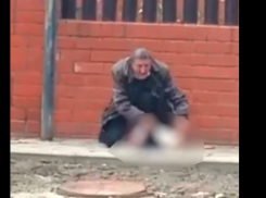 Работник похоронного бюро разделал кота на глазах у детей в Краснодарском крае