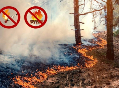 В Краснодаре ввели особый противопожарный режим