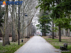 В Краснодаре назвали главные новости 26 марта