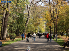 Нельзя шуметь, снимать БПЛА и заходить с собаками в магазин: какими запретами запомнился год на Кубани