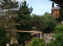 «Народ побежал в бомбоубежище!» - вой сирены в Сочи переполошил горожан