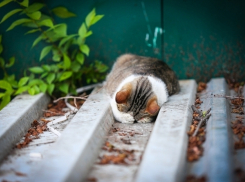  На Кубани дождливо, зато немного потеплеет 