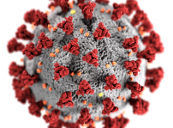Коронавирус набирает обороты: 254 заболевших за сутки в крае