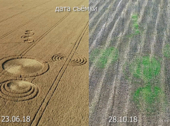 Инопланетная метка на кубанском поле напомнила о себе