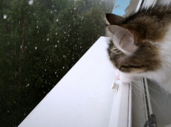  Дождь продолжается: суббота на Кубани будет ненастной 