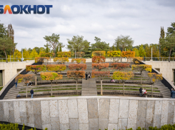 Вторник в Краснодаре обещает быть пасмурным и тёплым