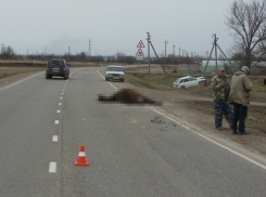 В кубанском селе парень на «Ладе» сбил лошадь насмерть