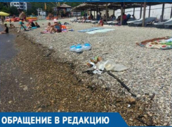 Курортный сбор на Кубани идет полным ходом, а убирать пляжи никто и не думает, - мнение отдыхающих