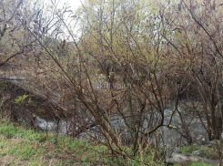 В Краснодаре на ЮМР в реке утопили электросамокат