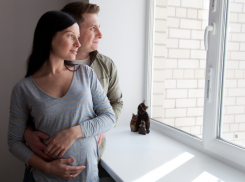 «Спаси себя от краснодарской жары!»: несколько неоспоримых достоинств оконных фильтров 