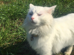 В Краснодарском крае воздух прогреется до +21 градуса