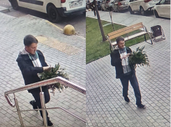 Краснодарец сэкономил на цветах к 8 Марта, обворовав клумбы