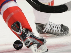  Олимпийские чемпионы сыграют в Сочи в хоккей в благотворительном матче 