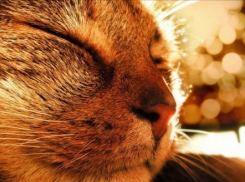  Погода порадует жителей Кубани в последний рабочий день недели 