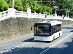 «Ехать нужно, а не на чем»: в Сочи внезапно перестали ходить автобусы